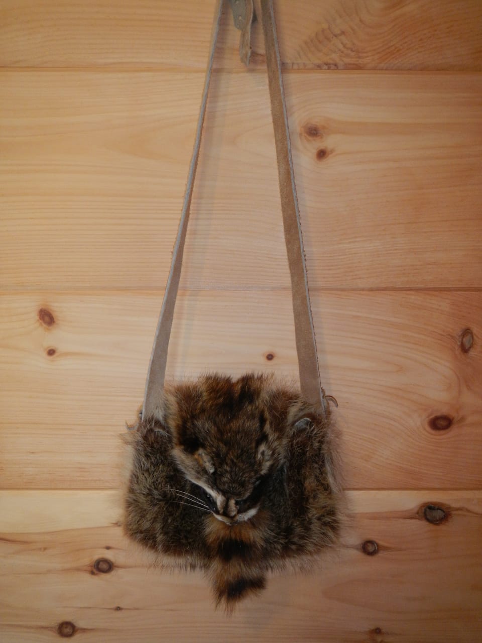 Raccoon Bag
