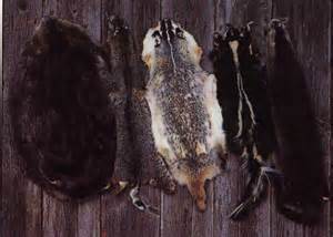 Buckshot's Skinning DVD