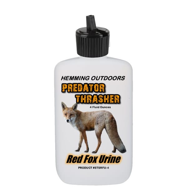 Red Fox Urine