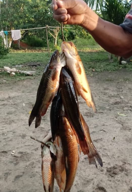 Fishing With Gill Nets